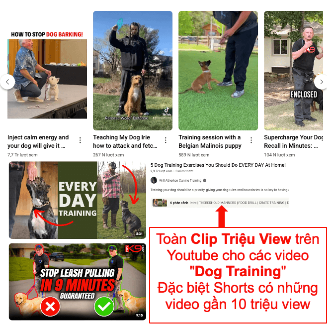 Affiliate Ngách Thú Cưng Thị Trường Mỹ với ClickBank - Huyền Thoại Hết Thời ? 10 Affiliate Ngách Thú Cưng Thị Trường Mỹ với ClickBank - Huyền Thoại Hết Thời ? 10