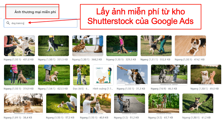 Affiliate Ngách Thú Cưng Thị Trường Mỹ với ClickBank - Huyền Thoại Hết Thời ? 21 Affiliate Ngách Thú Cưng Thị Trường Mỹ với ClickBank - Huyền Thoại Hết Thời ? 21