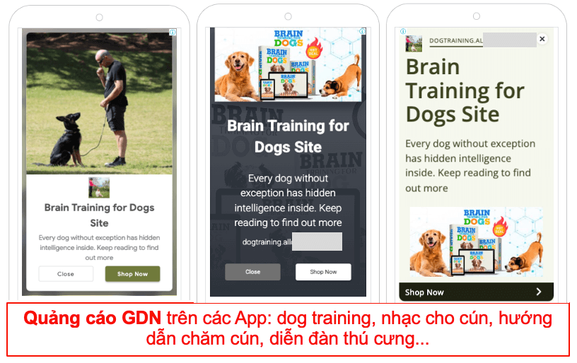 Affiliate Ngách Thú Cưng Thị Trường Mỹ với ClickBank - Huyền Thoại Hết Thời ? 31 Affiliate Ngách Thú Cưng Thị Trường Mỹ với ClickBank - Huyền Thoại Hết Thời ? 31