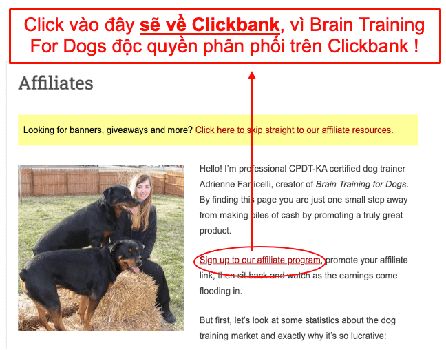 1650+ Sản Phẩm Affiliate Theo Ngách – Đỡ Phải Mò, Chỉ Việc Triển Khai ! 7 1650+ Sản Phẩm Affiliate Theo Ngách – Đỡ Phải Mò, Chỉ Việc Triển Khai ! 6