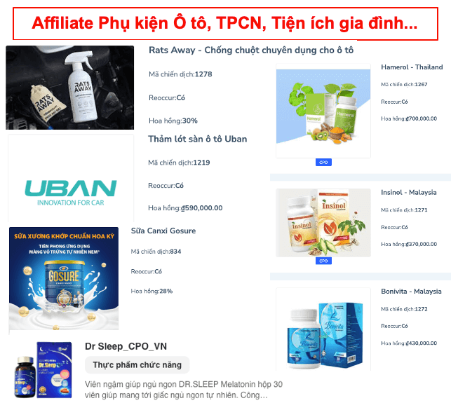 Nhìn Lại 6 Case Study Affiliate và Những Bài Học Xương Máu 9 Nhìn Lại 6 Case Study Affiliate và Những Bài Học Xương Máu 13